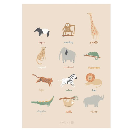 Sebra Poster- 50x70 - Wildlife
