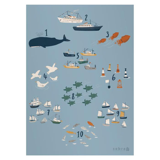 Sebra Poster - 50x70 - Seven Seas