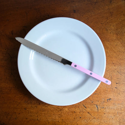 Serving spoon Saber Paris Blue