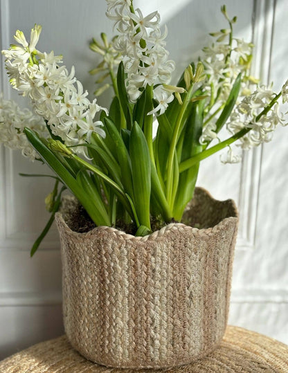Tulip Korg Natural Stripe: Small