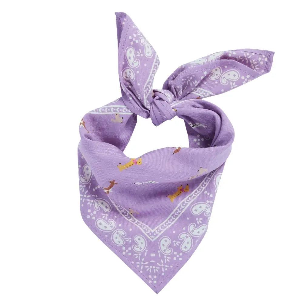 Scarf - Mauve Dachshund