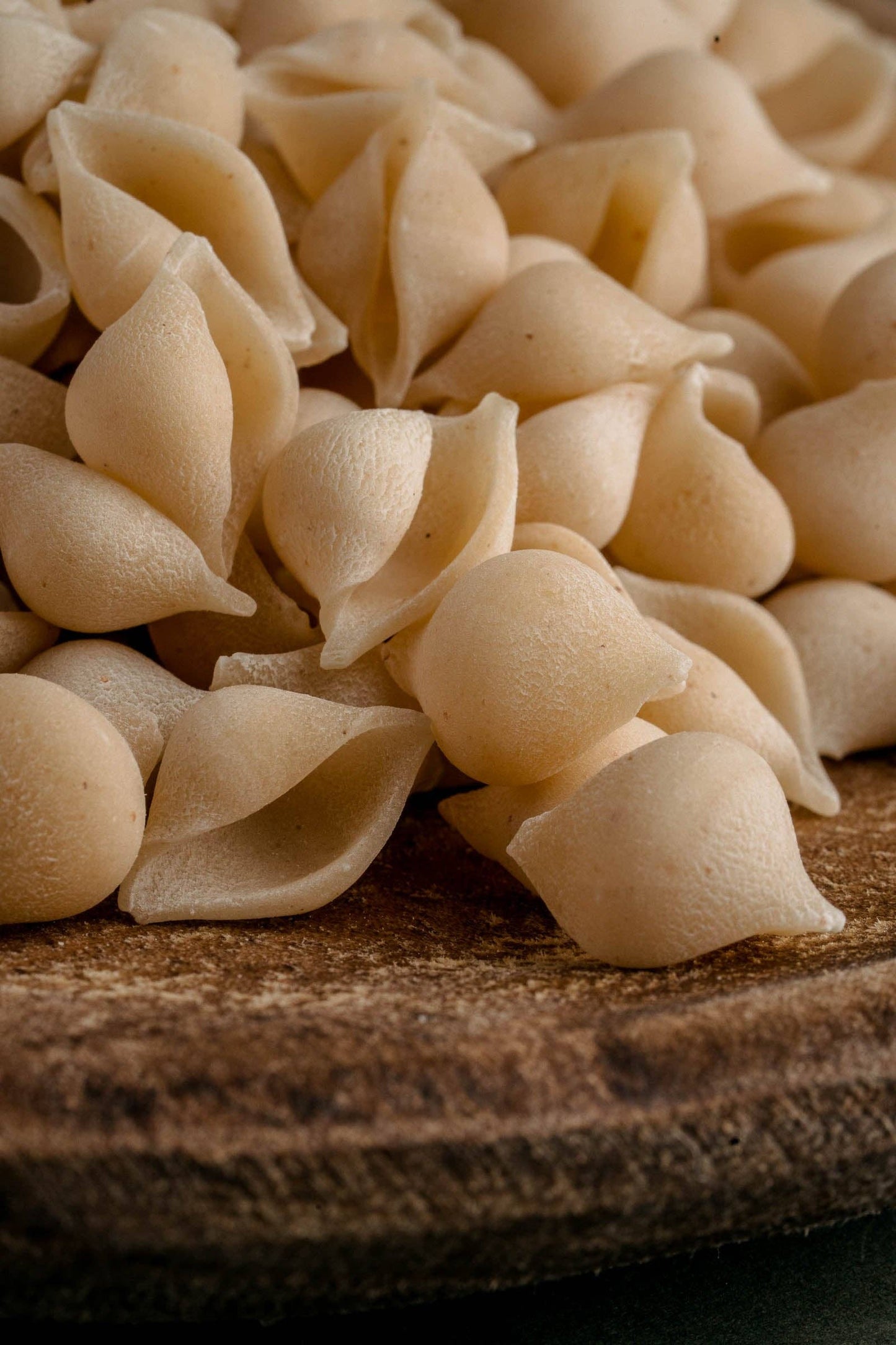 Pasta - Conchigliette