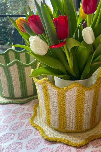 Tulip Korg Daffodil: Small