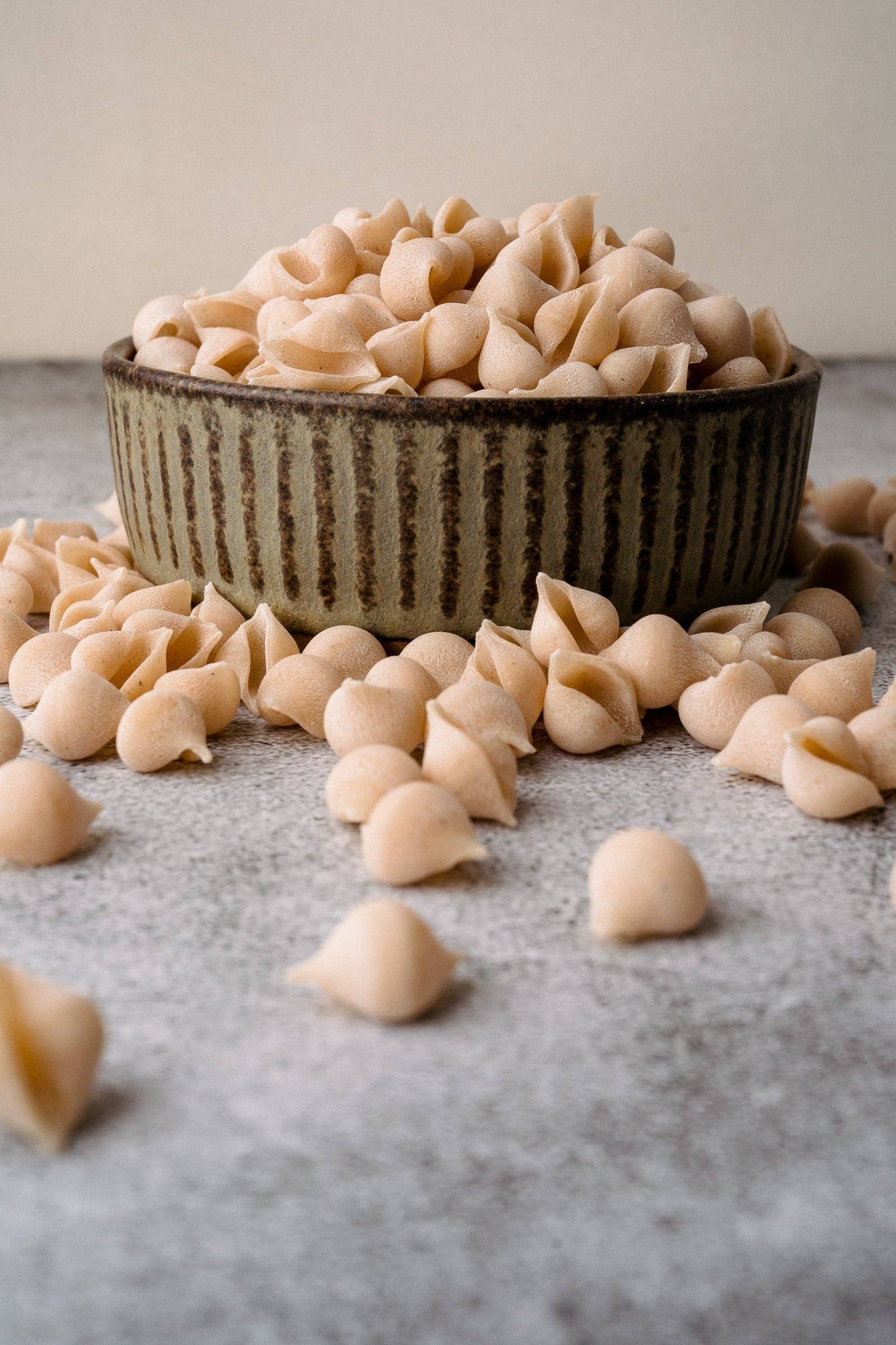 Pasta - Conchigliette