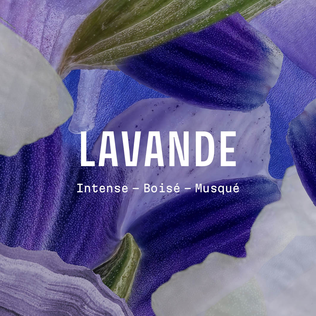 Handtvål Lavendel 500ml